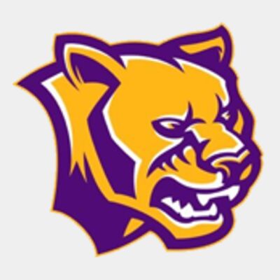 Cougar Purple and gold Cougar Purple and gold Thumbnail