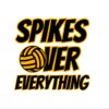 safe removable vehicle stickers Thumbnail