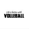 safe removable vehicle stickers Thumbnail