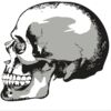 Tiny-Super Small Labels - Stickers  up to 4 sq inch Thumbnail